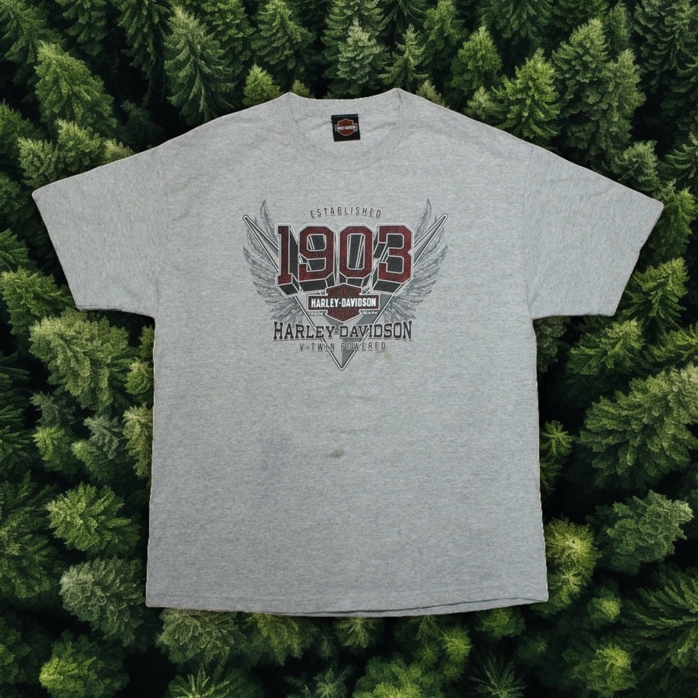 HARLEY DAVIDSON T-SHIRT 2013 NEW RIVER GORGE HICO WEST VIRGINIA